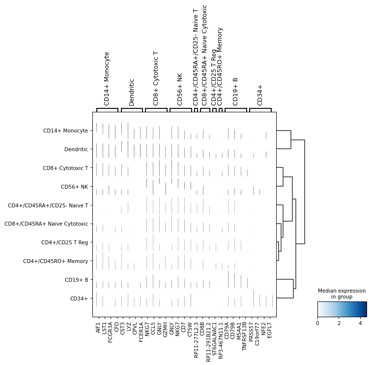 ../../_images/scanpy-pl-rank_genes_groups_stacked_violin-1.png